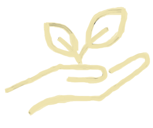 Plantjes verzorgen